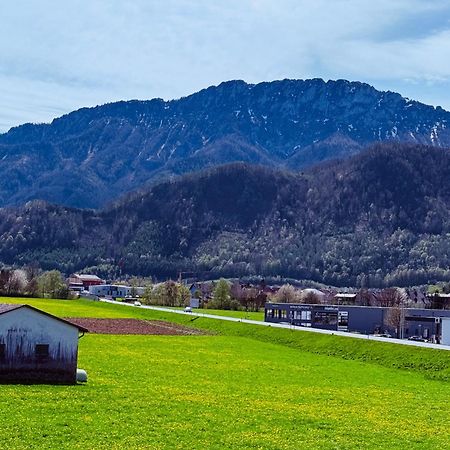 Zentrale Wohnung Mit Alpenblick Micheldorf in Oberosterreich Экстерьер фото