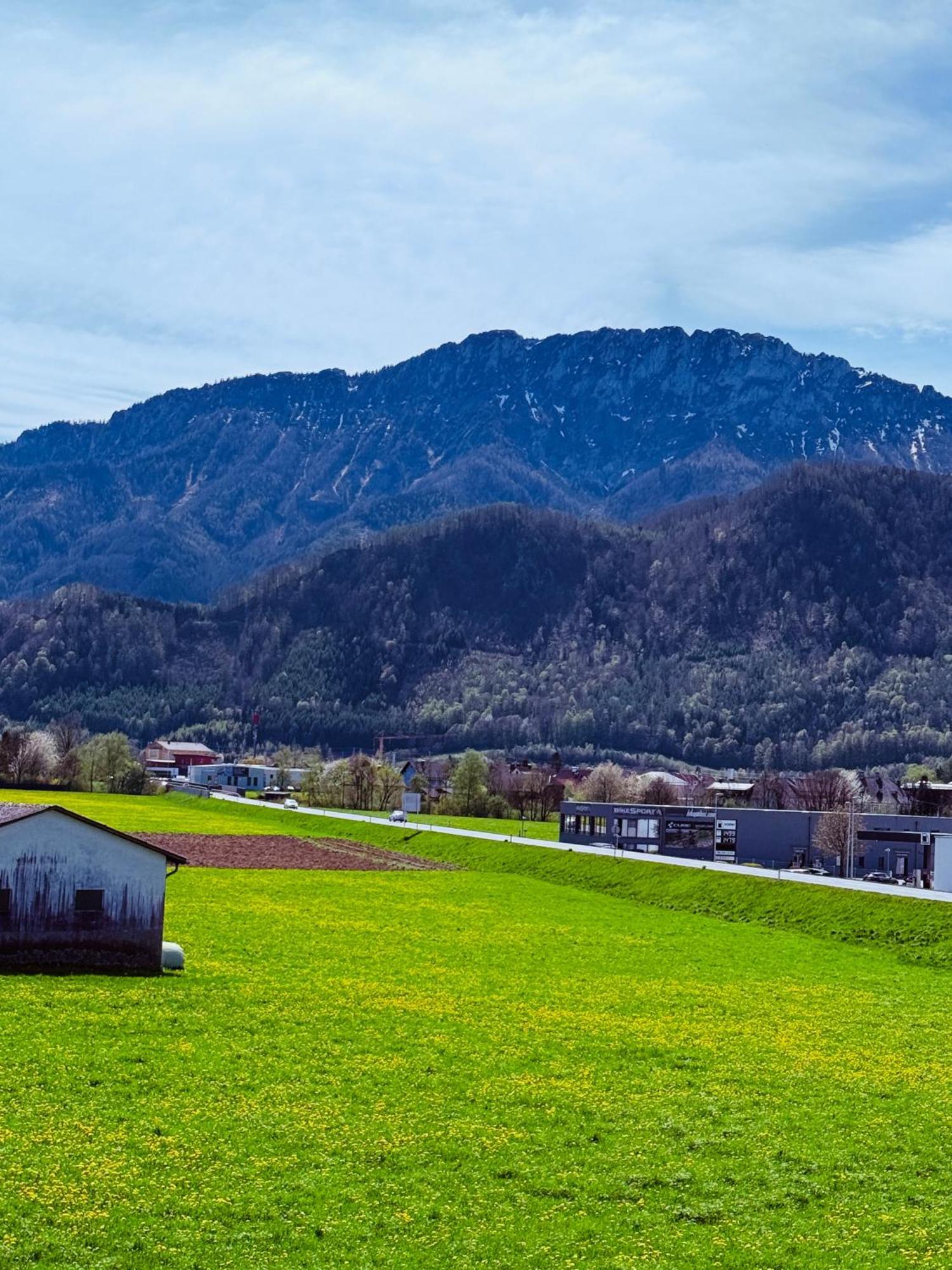 Zentrale Wohnung Mit Alpenblick Micheldorf in Oberosterreich Экстерьер фото